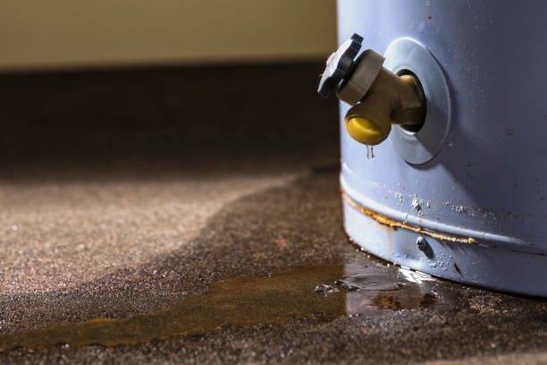 Archer Lodge, NC Water damage restoration Pros