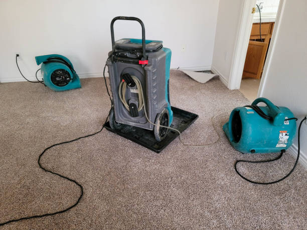 Best Residential water damage restoration  in Archer Lodge, NC