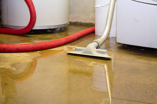 Best 24-hour water damage restoration  in Archer Lodge, NC