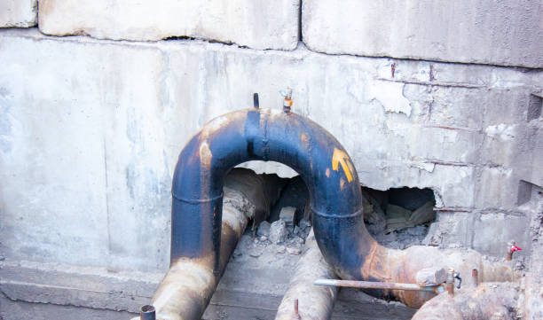 Best Mold removal after water damage  in Archer Lodge, NC